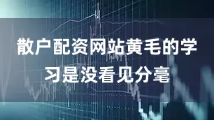 散户配资网站黄毛的学习是没看见分毫