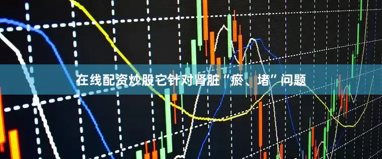 在线配资炒股它针对肾脏“瘀、堵”问题