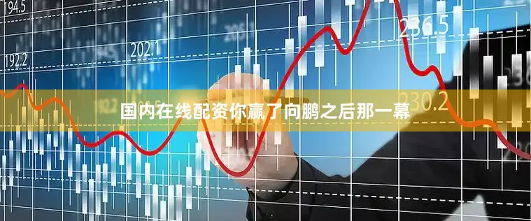 国内在线配资你赢了向鹏之后那一幕